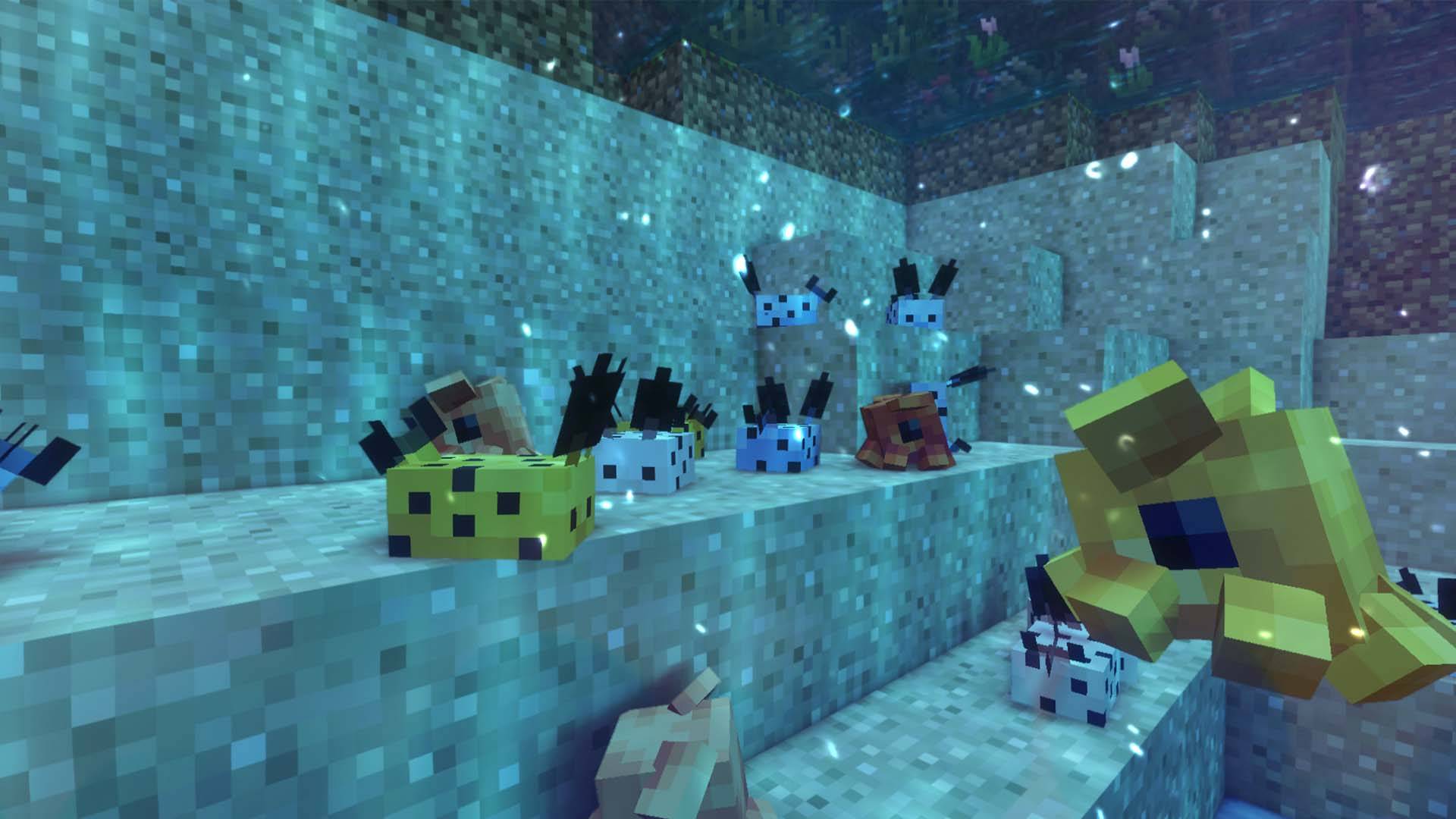ocean friends.jpg