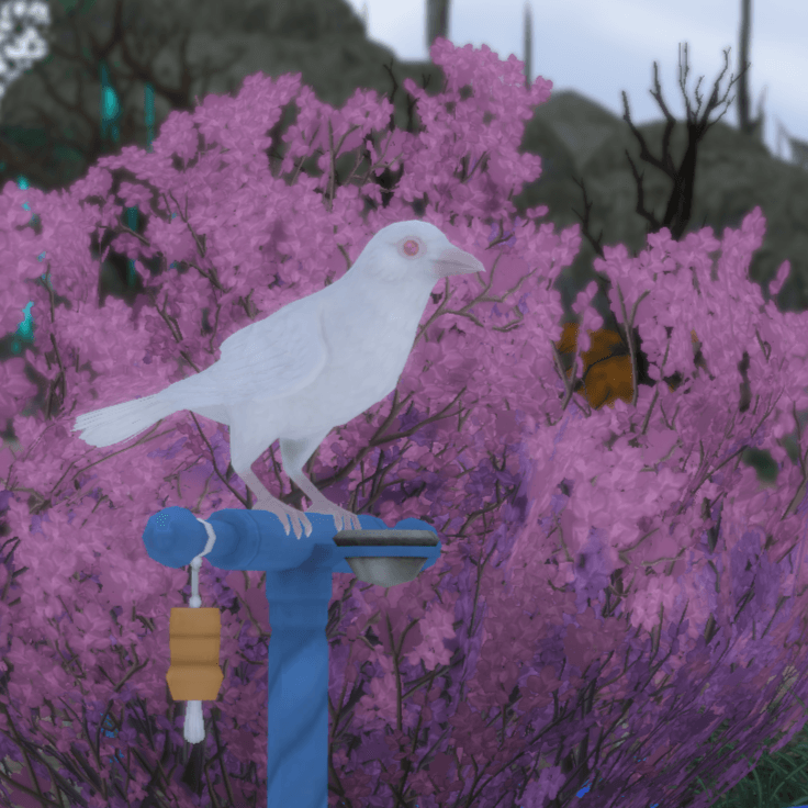 albinocrow8.png