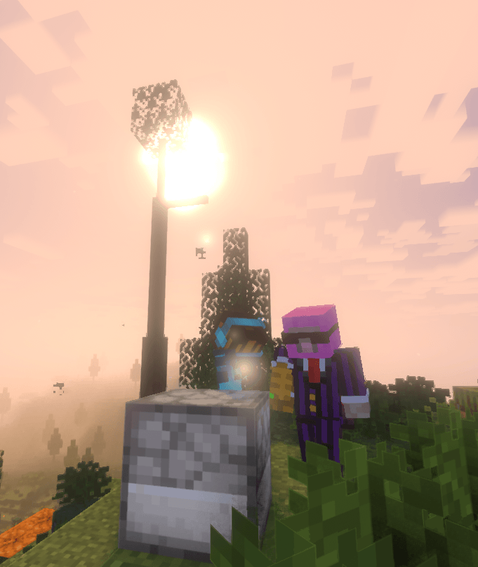 image3.png