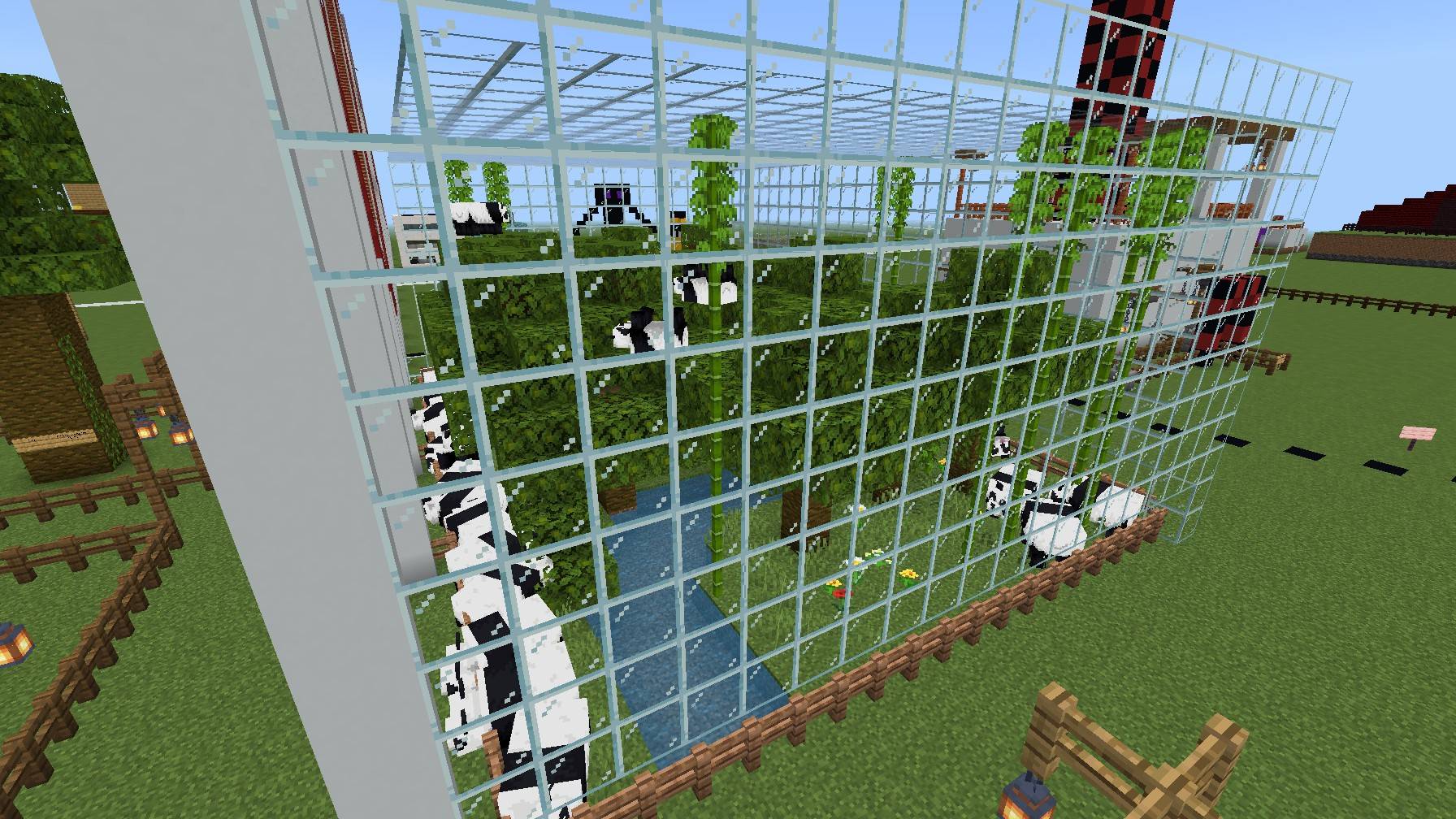 Thumbnail panda-life.jpg