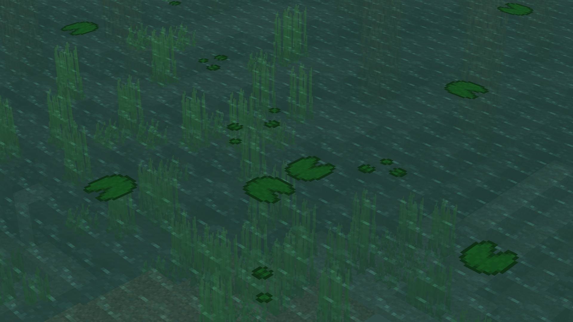 Some more lily pads