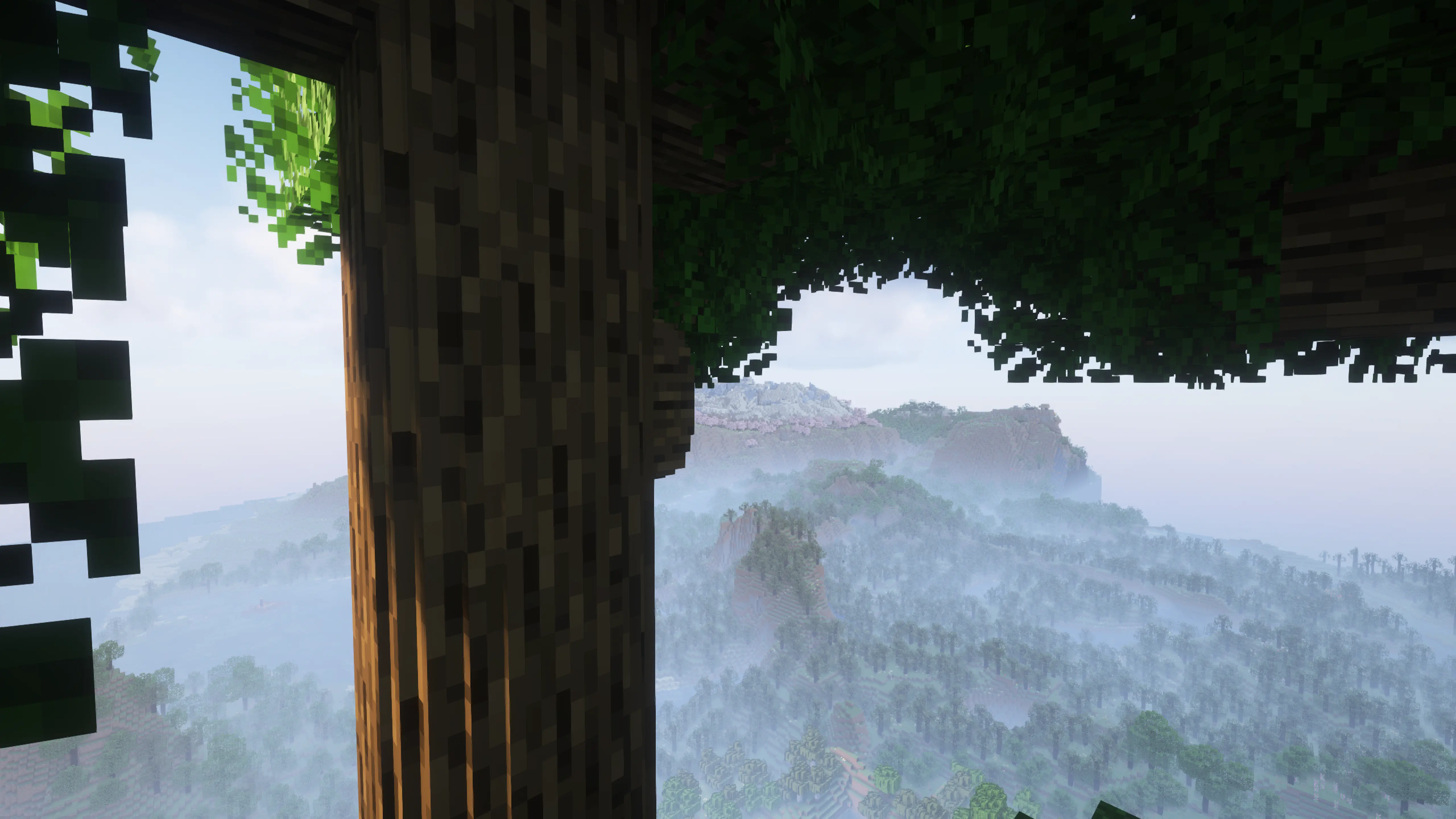 A huge round oak tree overlooking forests full of other round trees