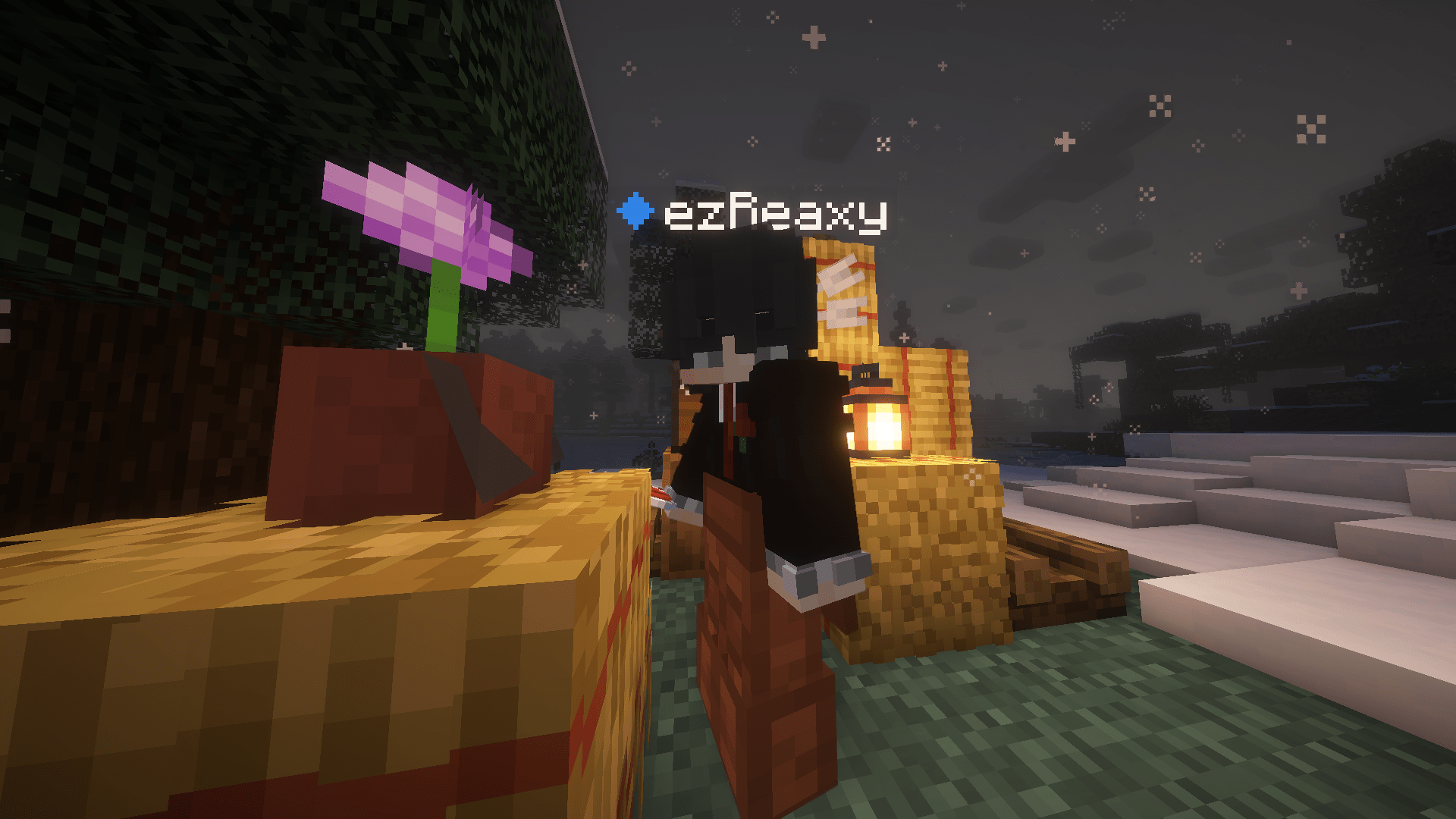 ezReaxy's Wild Western game screenshot