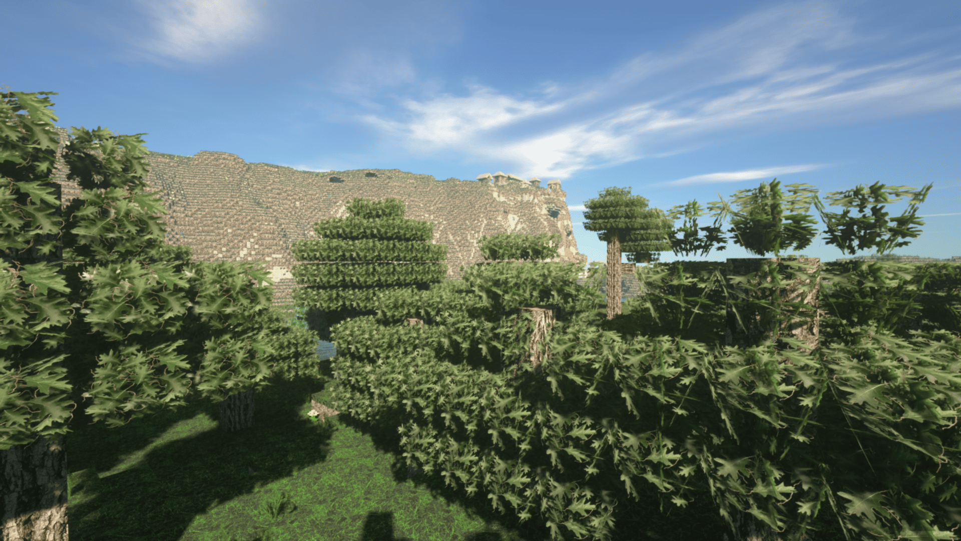 Base Profile Screenshot 2025.08.19 - 11.38.03.16.png