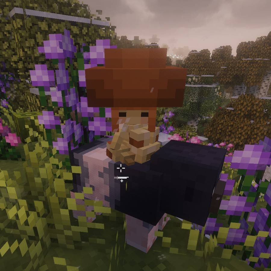 Thumbnail 1.20.1 Icarus Modpack.jpg
