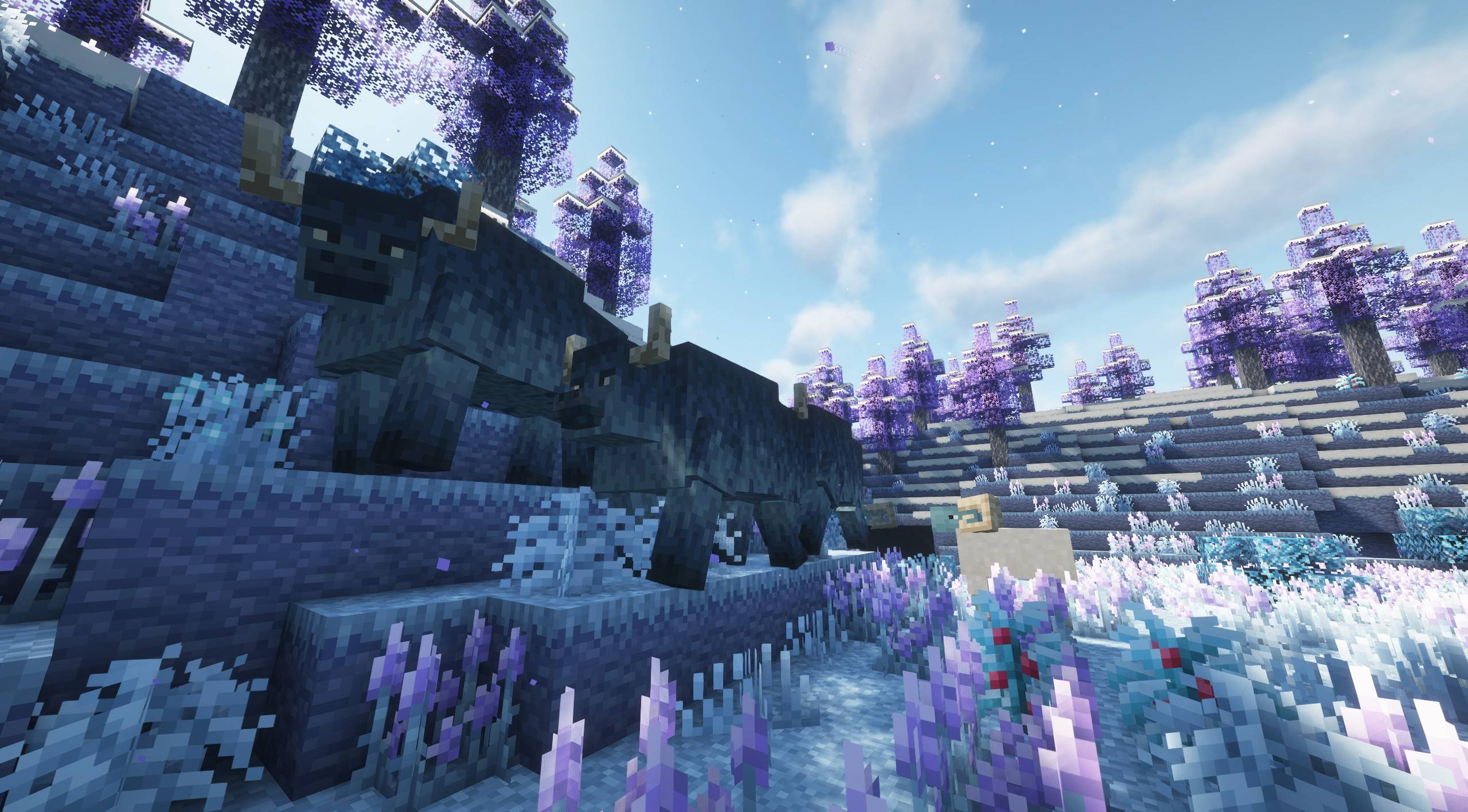Thumbnail 2025-09-20_19.54.00.jpg