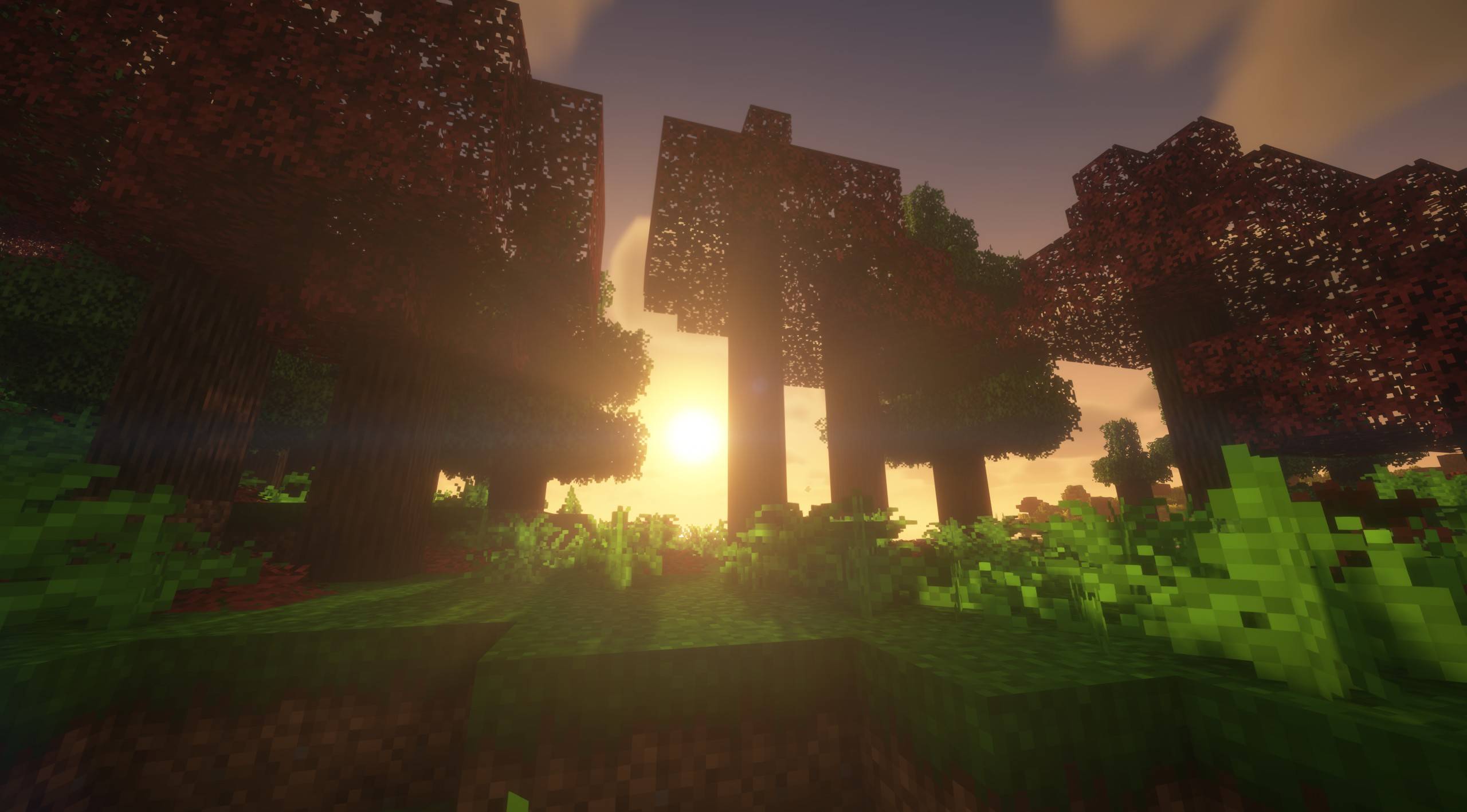 Thumbnail 2025-09-20_15.44.27.jpg