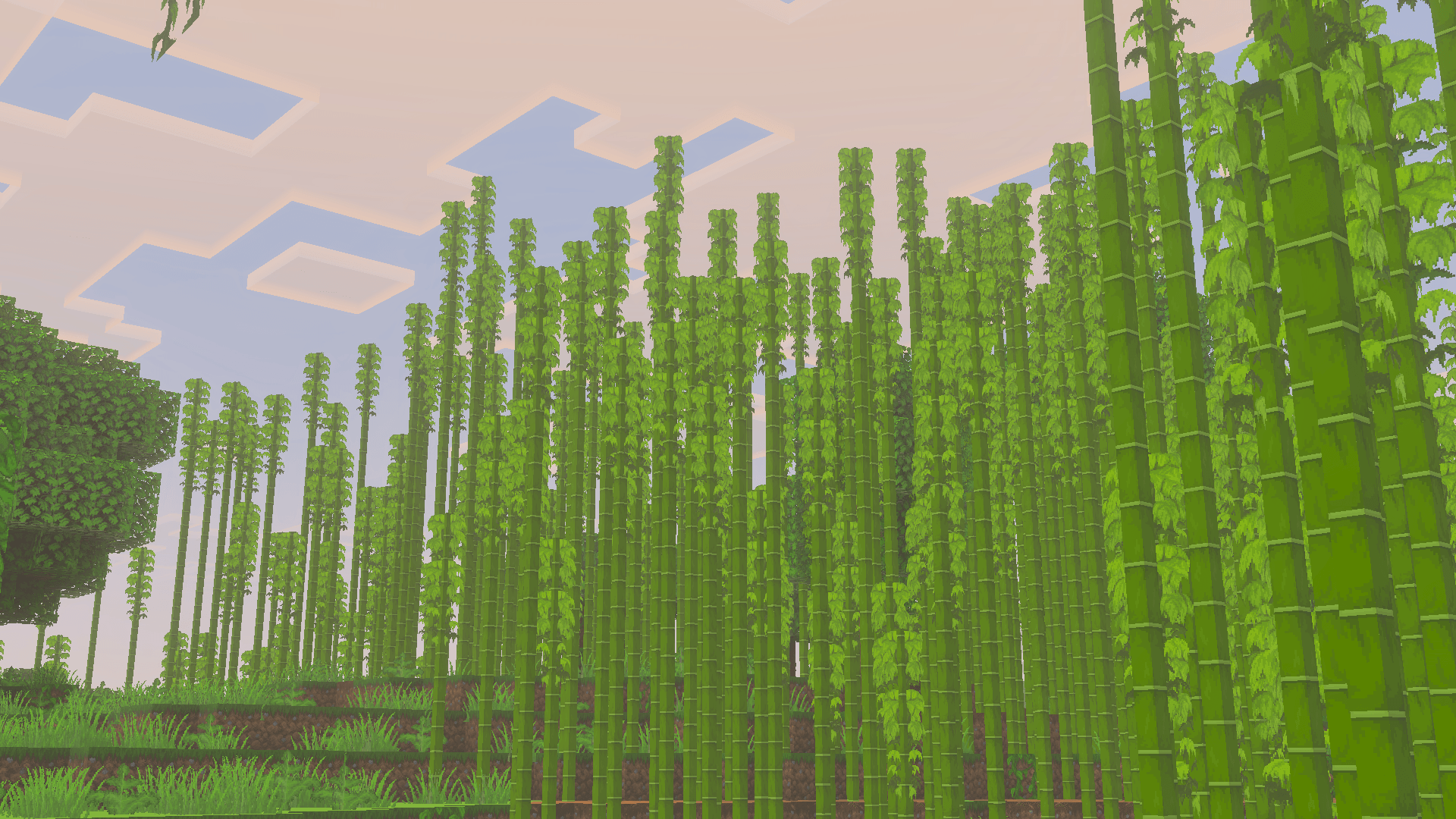 Thumbnail Screenshot 2025-09-21 13-00-25.png