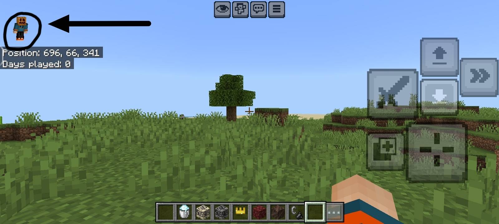 Thumbnail Proof of Pumpkin Blur