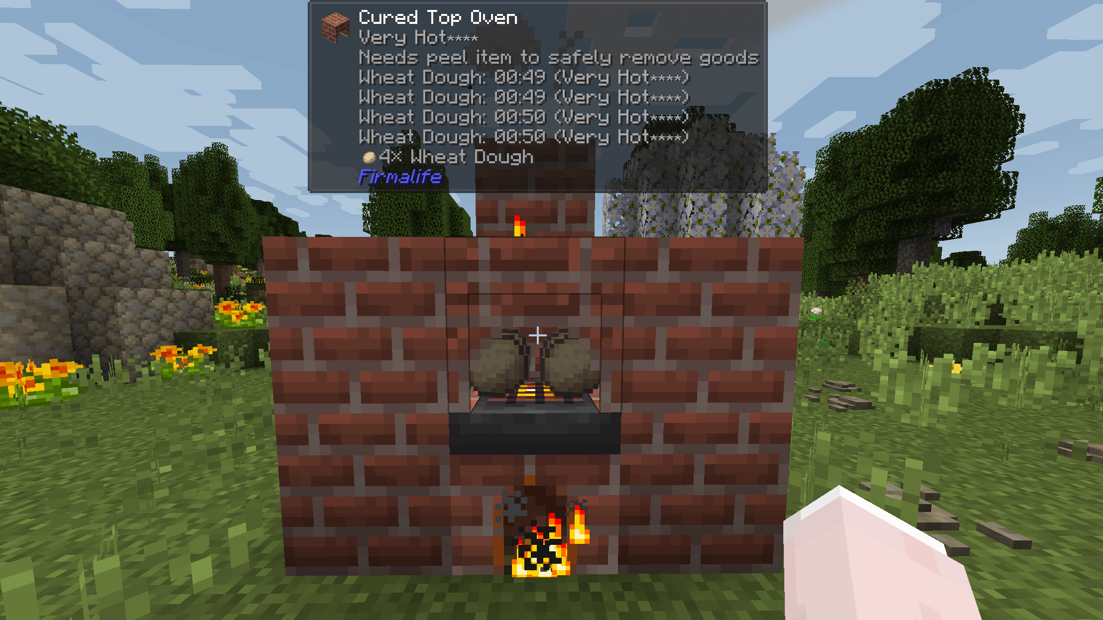 stove2.png