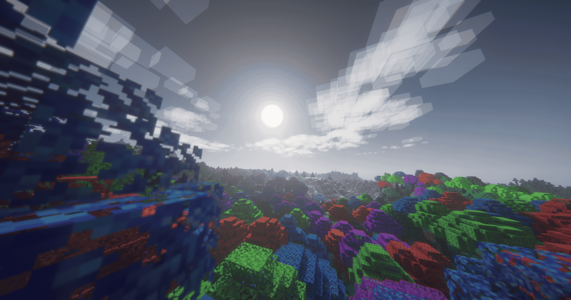 a magical forest