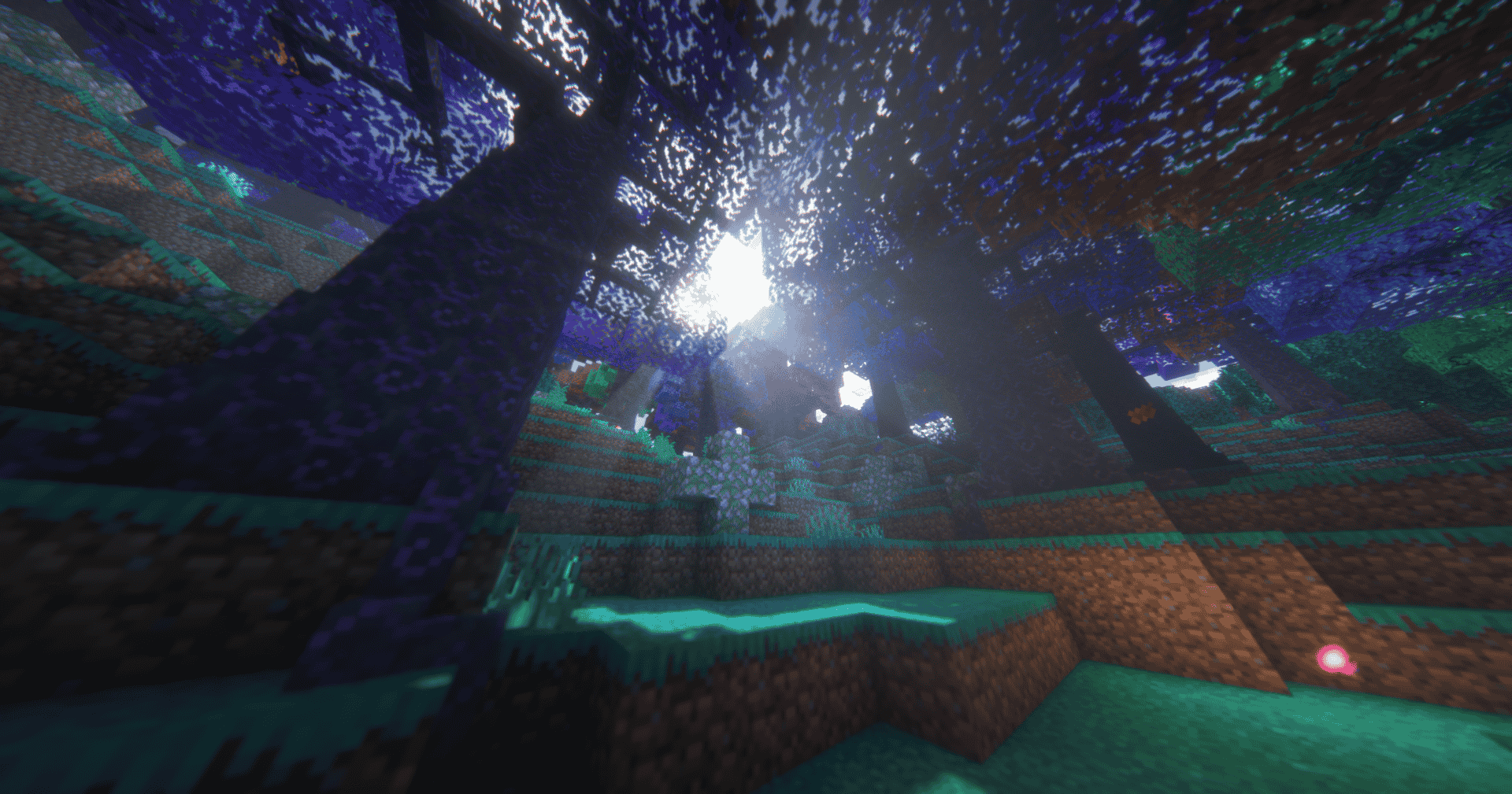 a ground view of the magical forest.