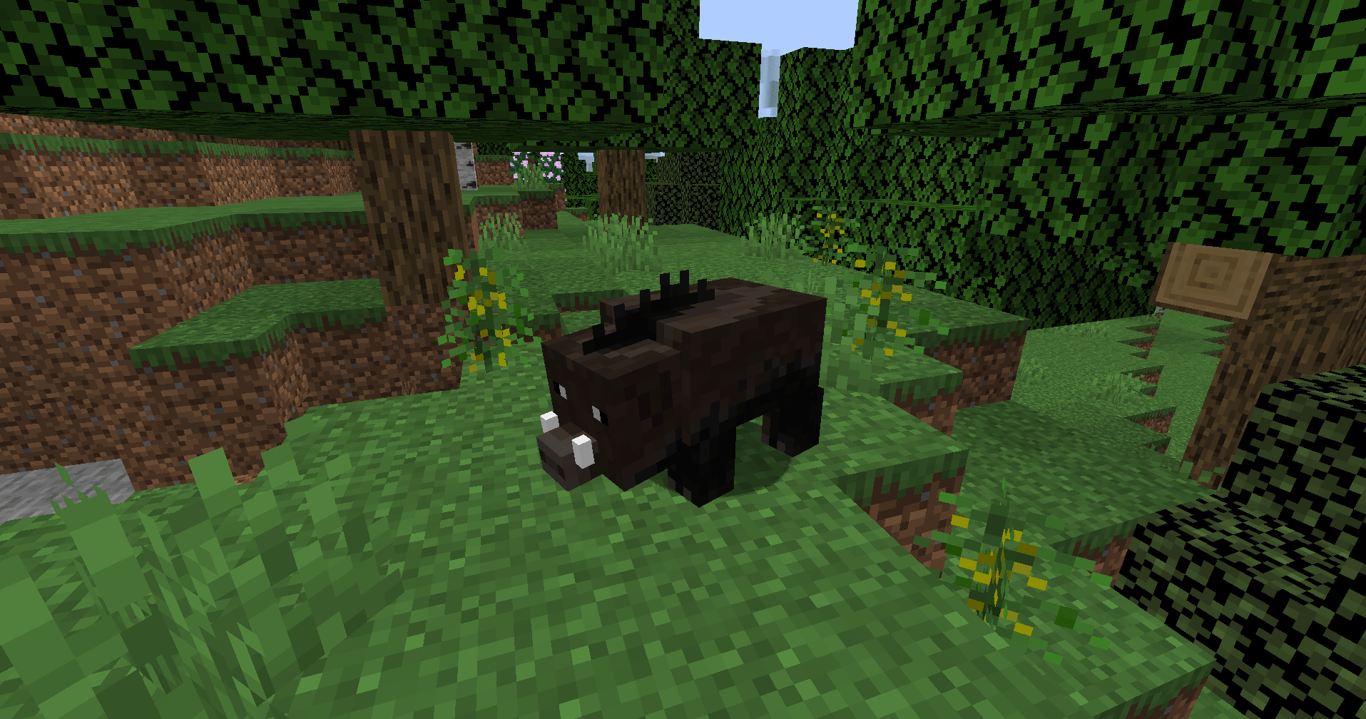 Wild Boar and Nettles in the Forest