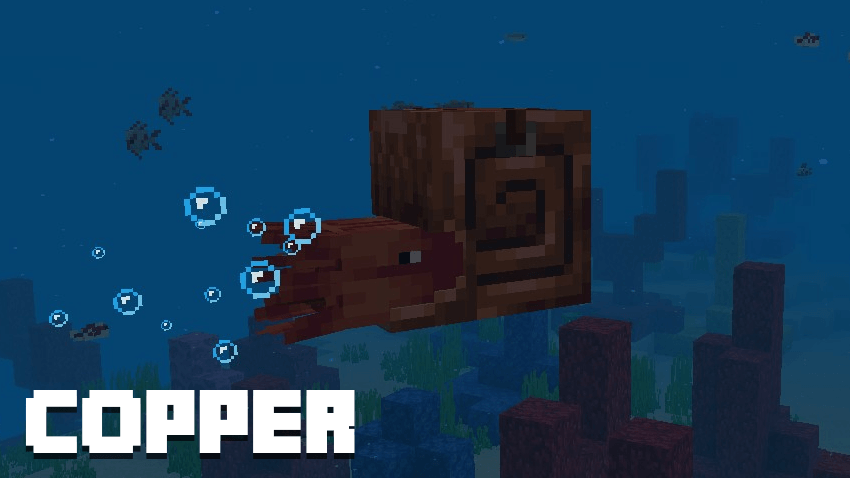Thumbnail Copper Nautilus Armor