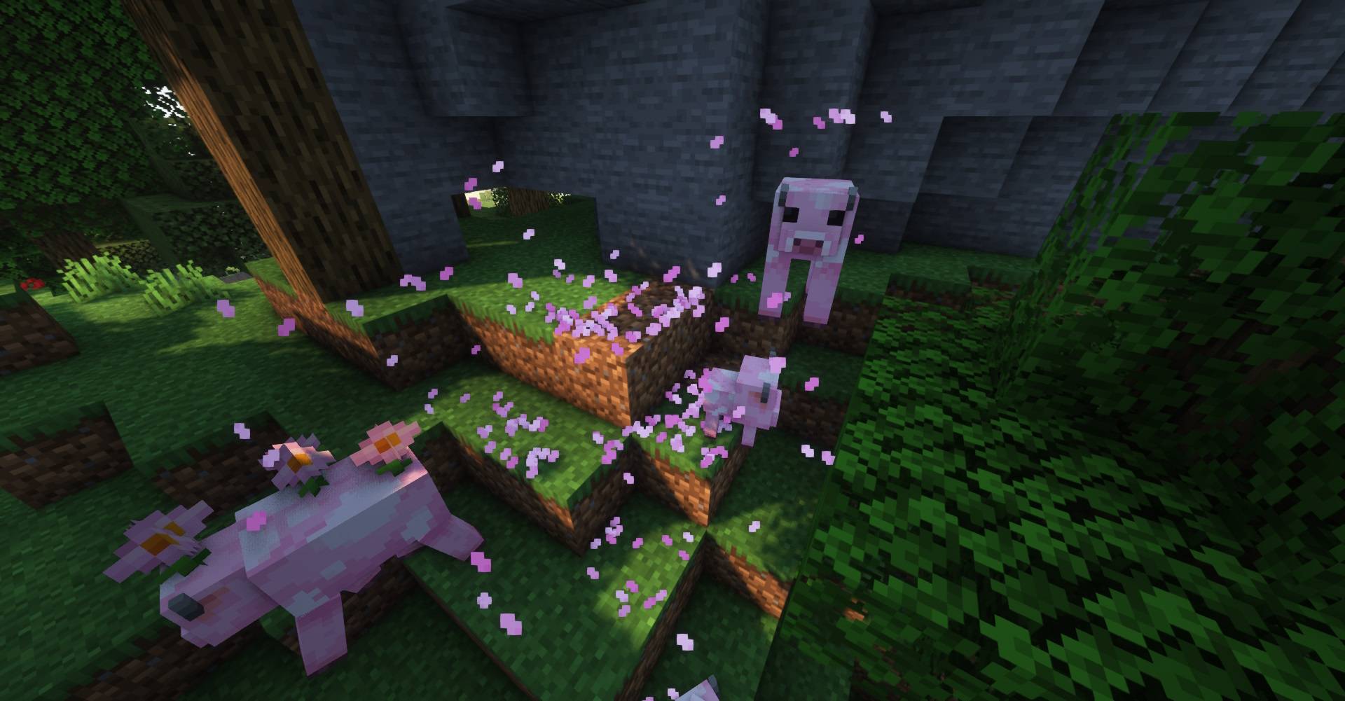 Pink Buttercup.jpg