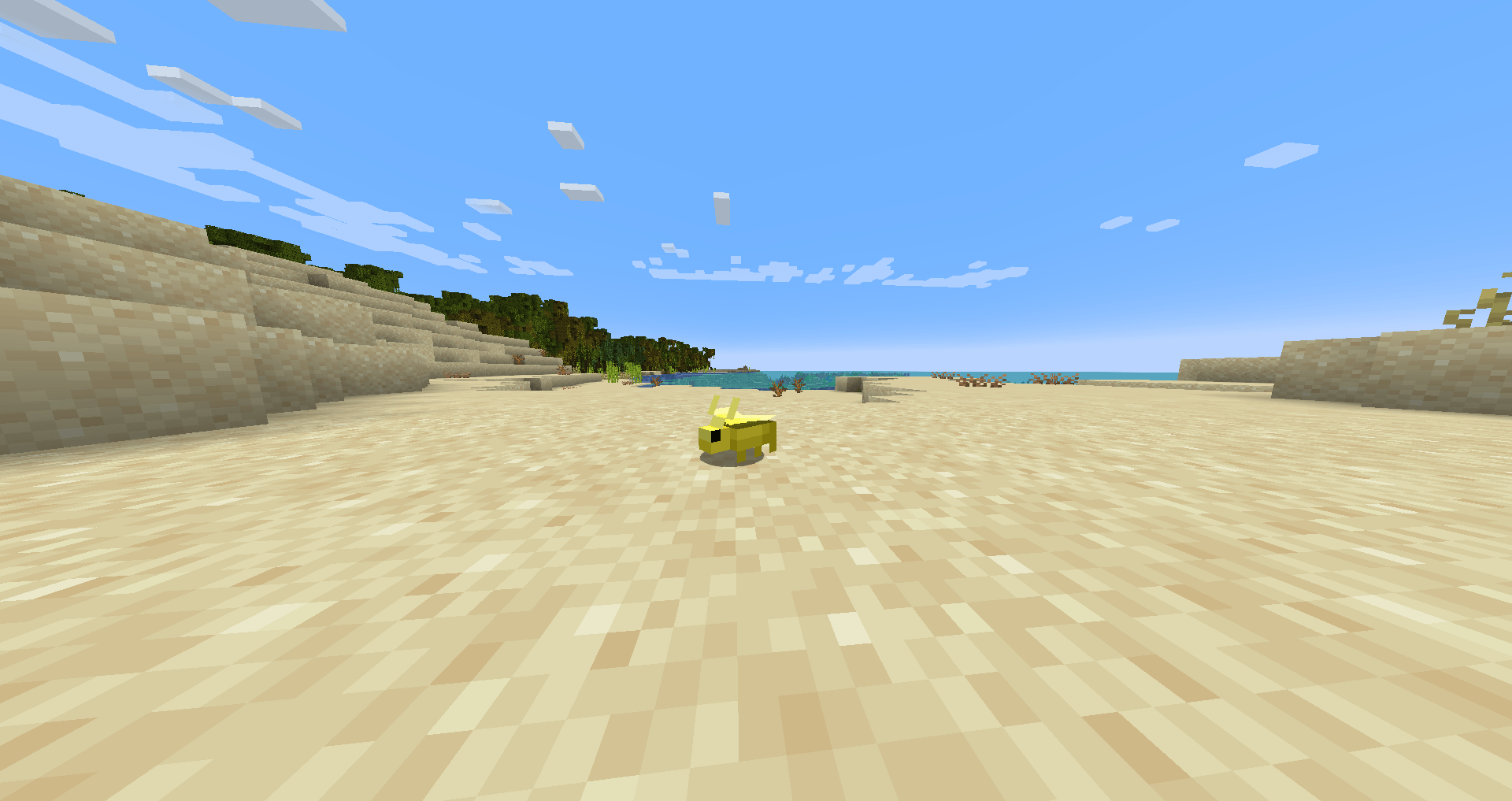 A Gilded Beetle in the desert