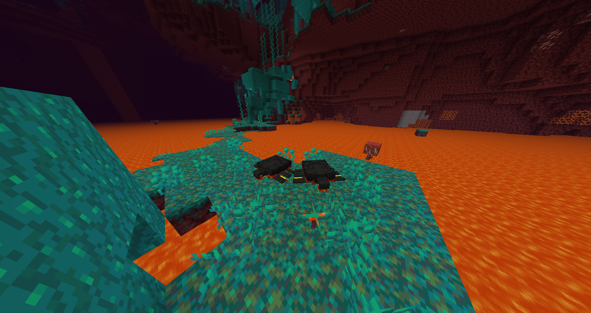 Thumbnail The Magma Snapper next to the lava lakes