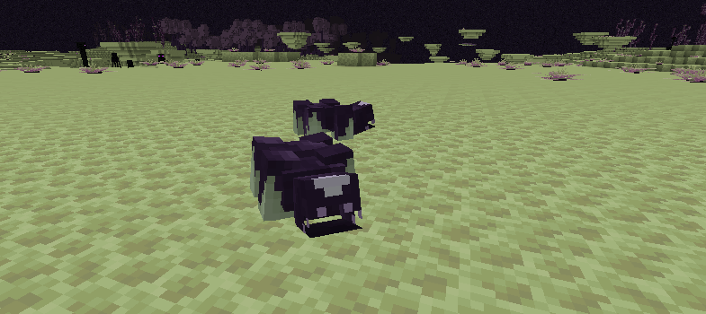 The Voidling looking cute, and wanting to play with shulker shells