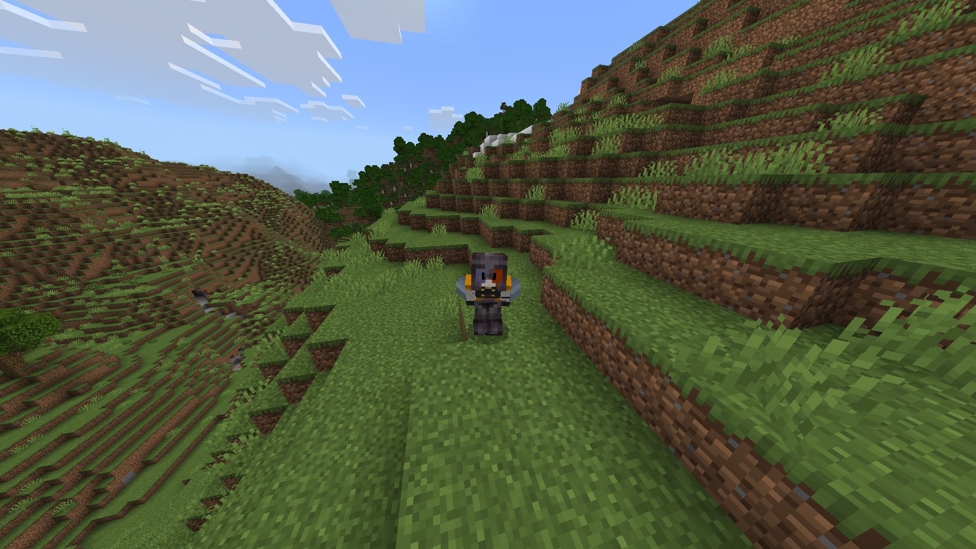 Armor shows while crouching