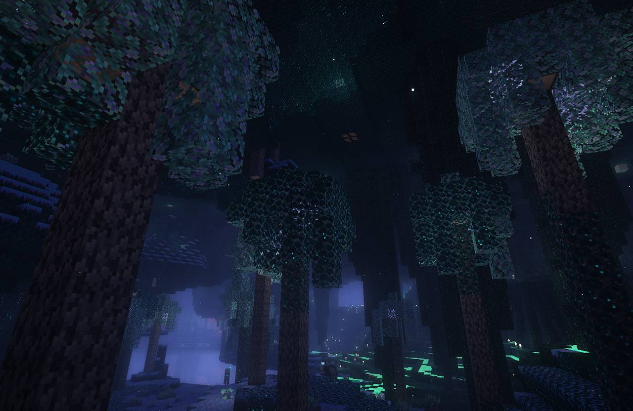 Thumbnail silent forest
