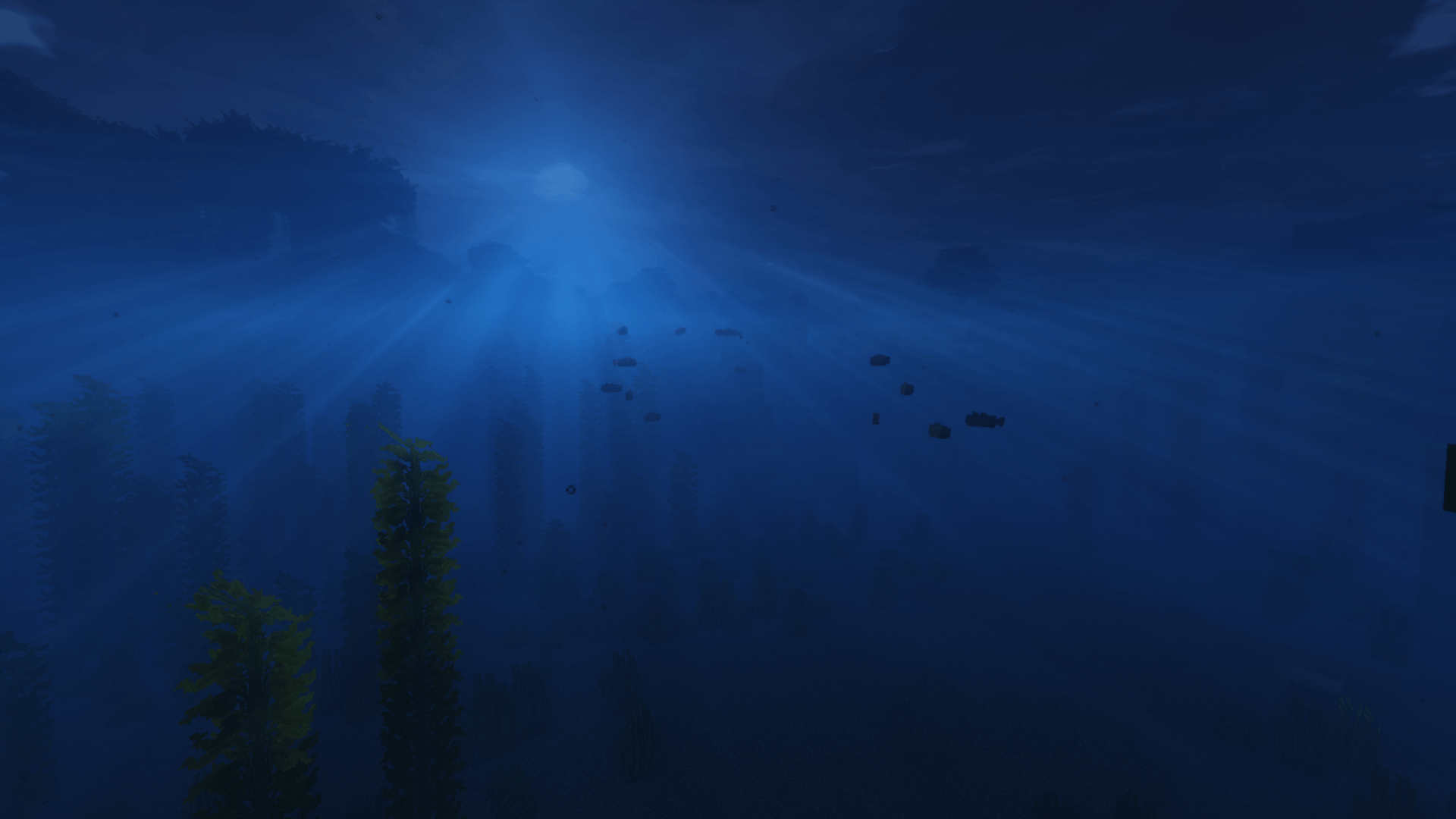 Under the sea!