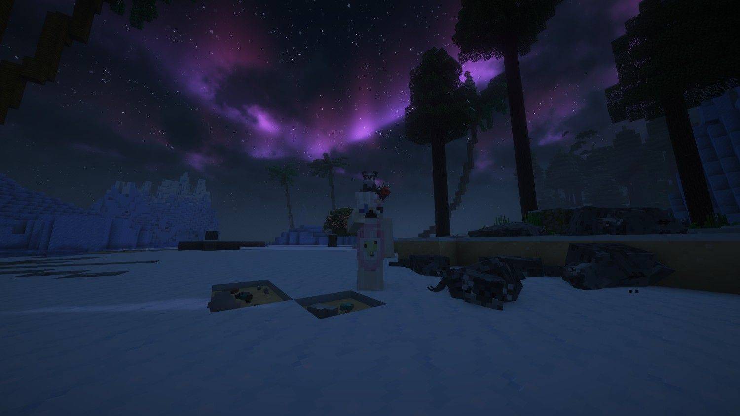 Thumbnail nighttimesealwatc.jpeg