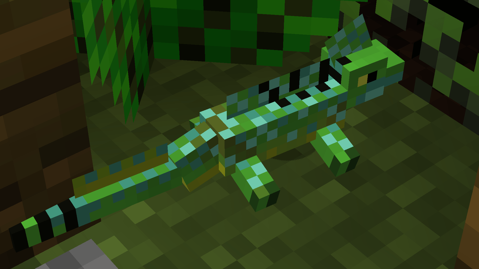 Plumed Basilisk