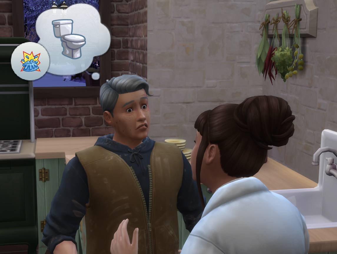 sims4me_moreaskwhathappened_toiletsplash.jpg
