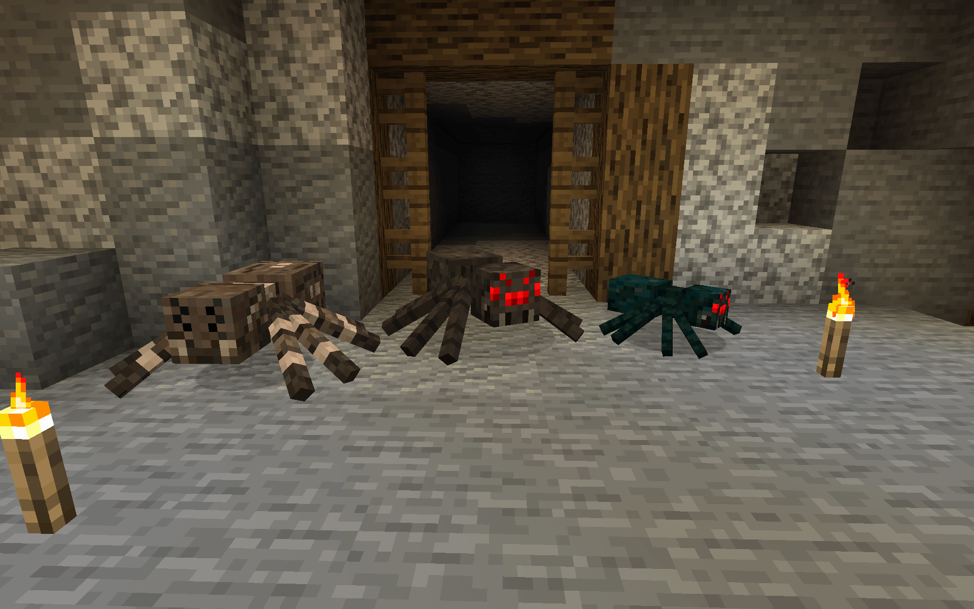 Thumbnail Tarantula, spider and cave spider