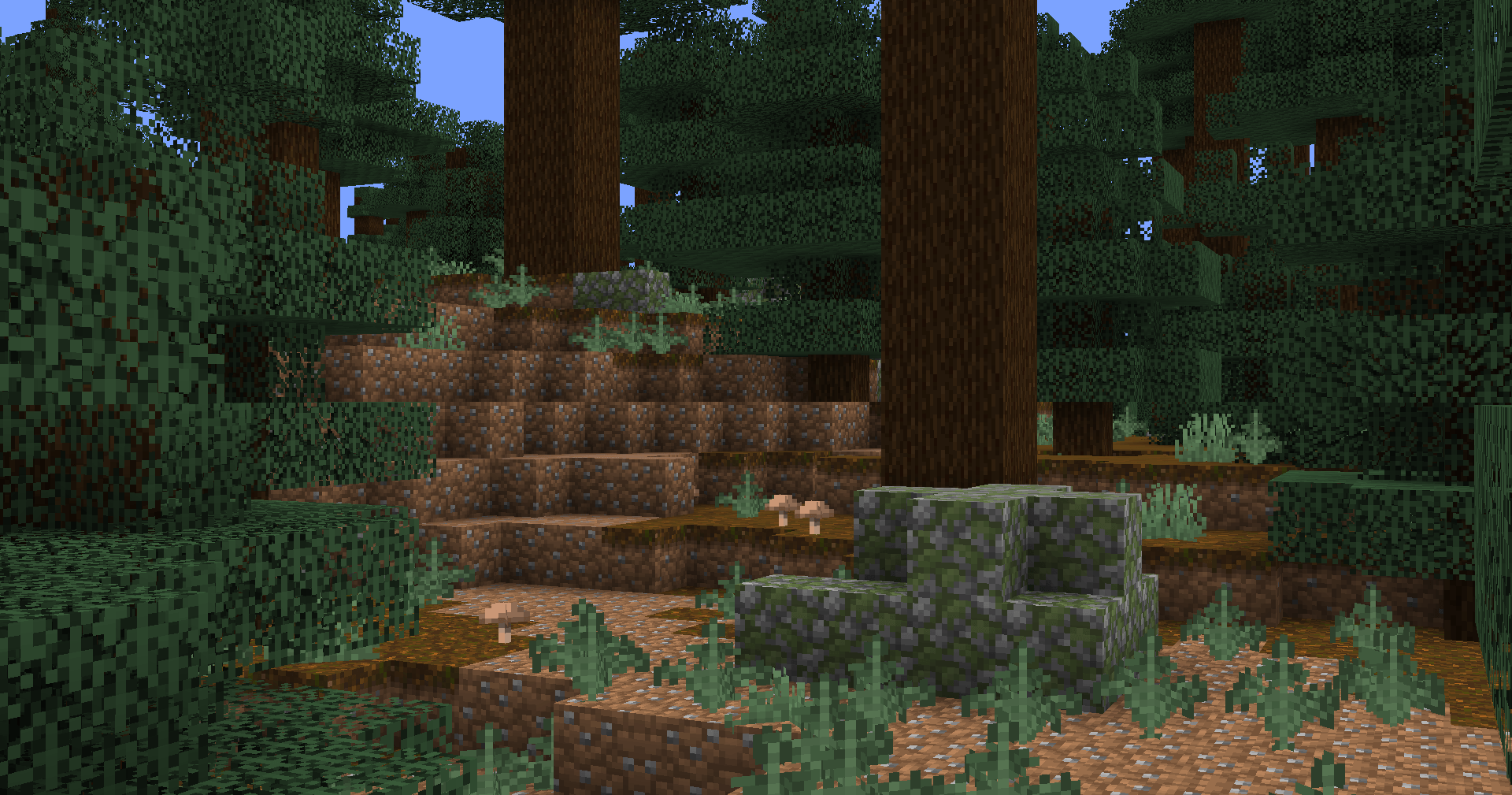 old_growth_pines.png