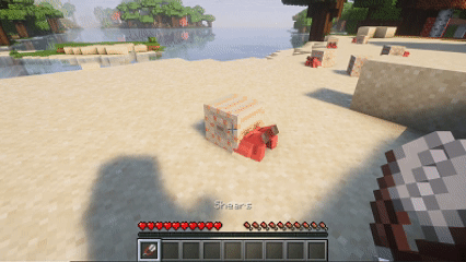 - Shearing a hermit-crab