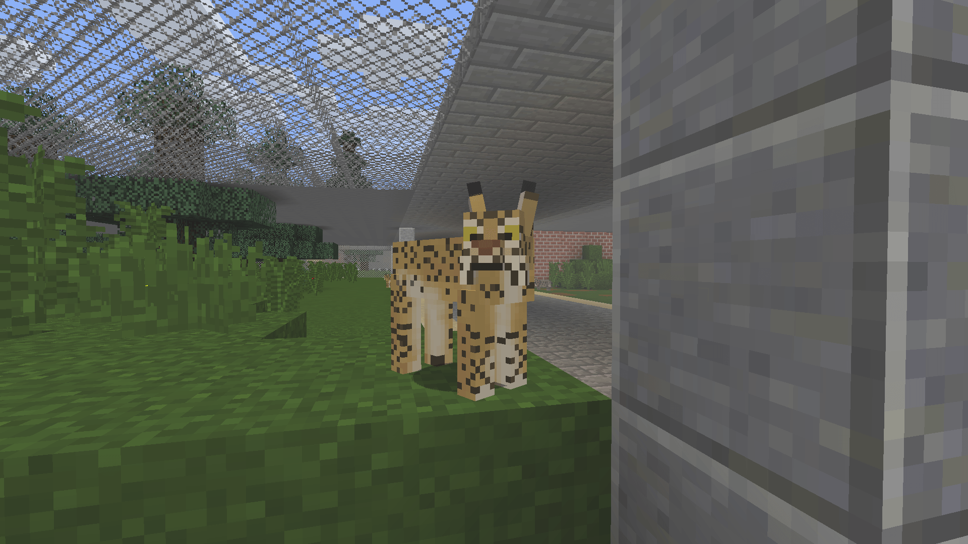 Thumbnail Carpathian Lynx