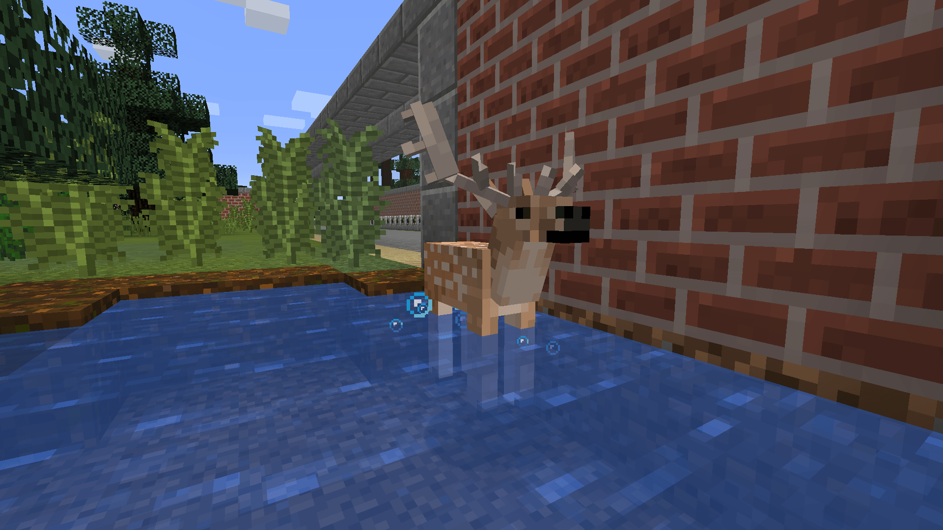 Thumbnail European Fallow Deer
