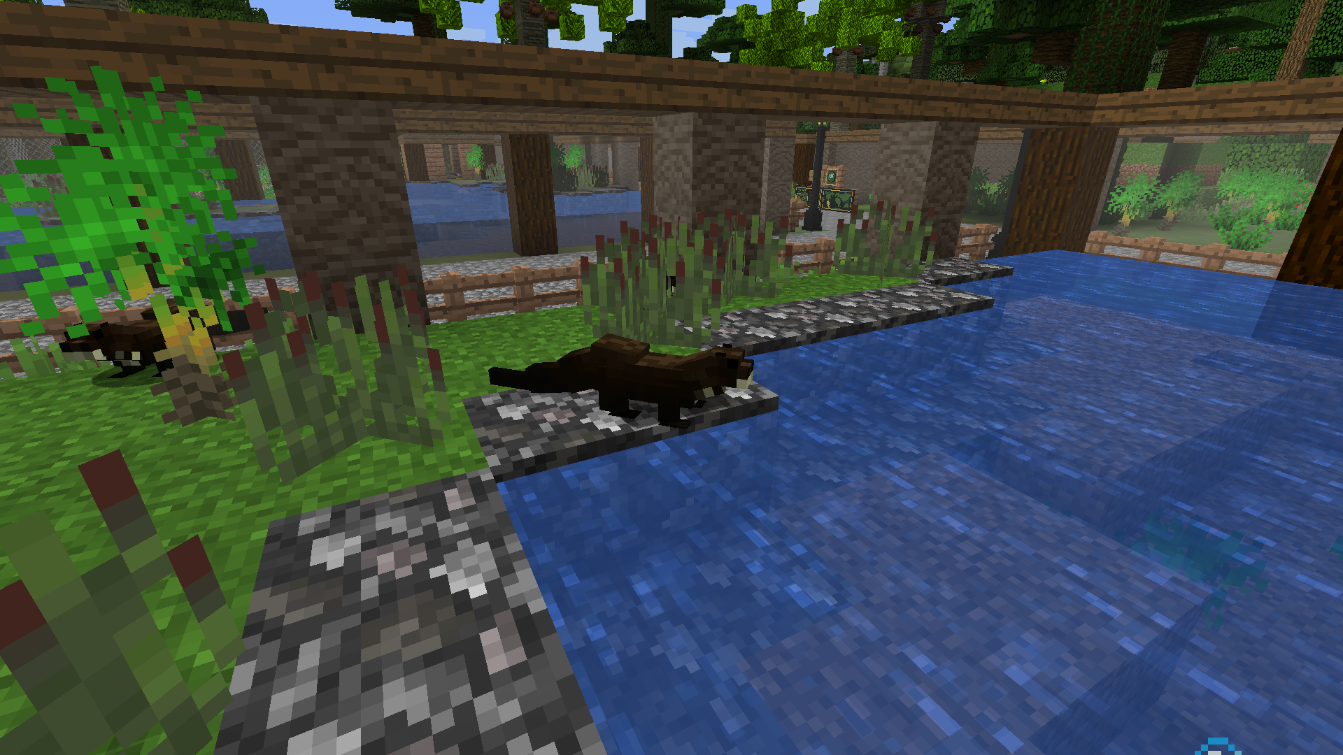 Thumbnail Giant Otter