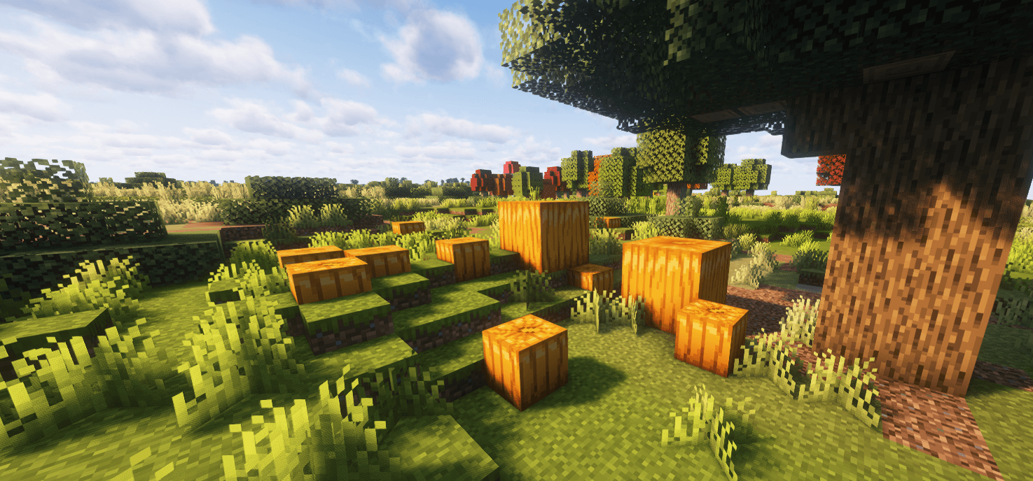 pumpkins.png