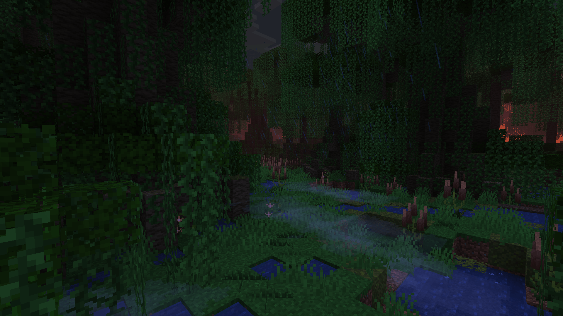 Thumbnail Verrrry cool swamp I found.