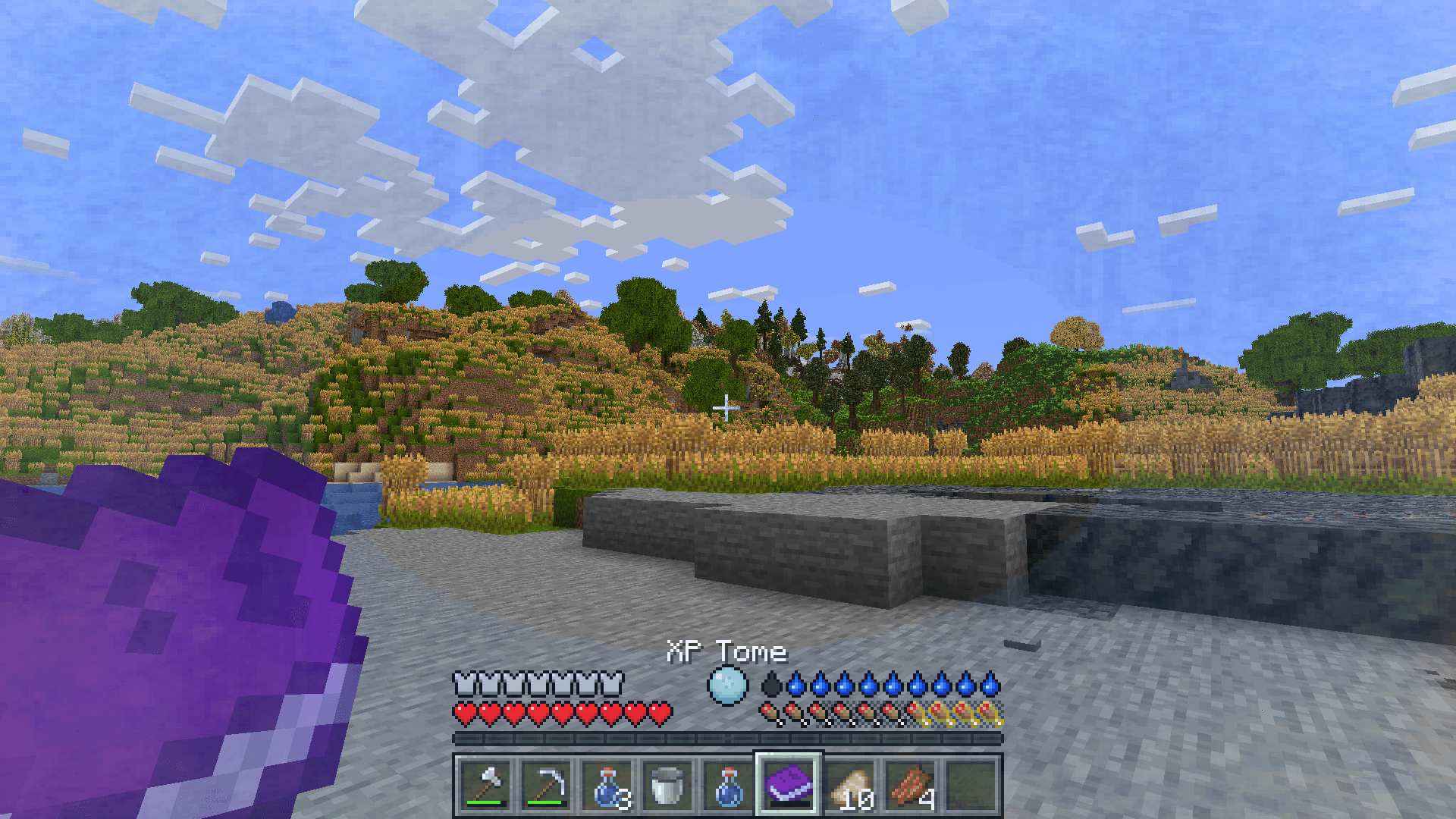 Thumbnail Been playing for a bit, found this cool wheat field :D