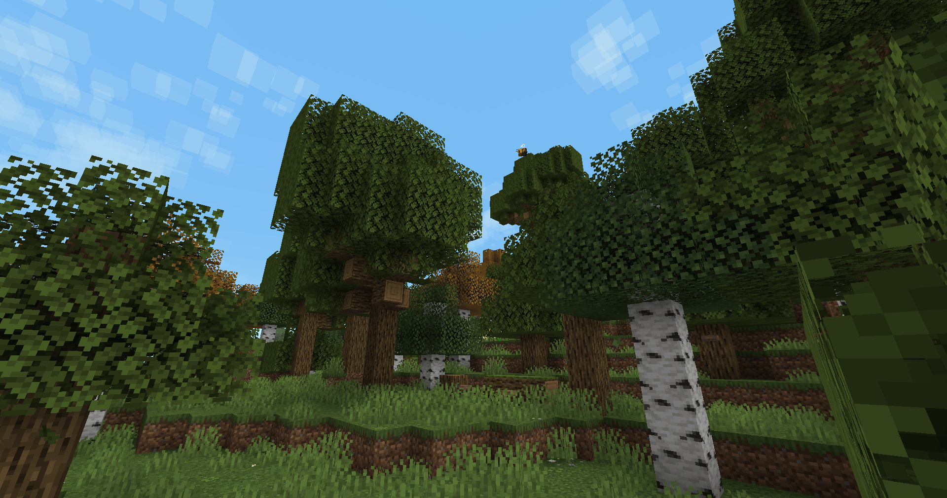 Oak and Birch have been slightly hue shifted