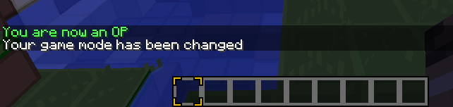 <p>This is what happens when you type the command /op.</p>