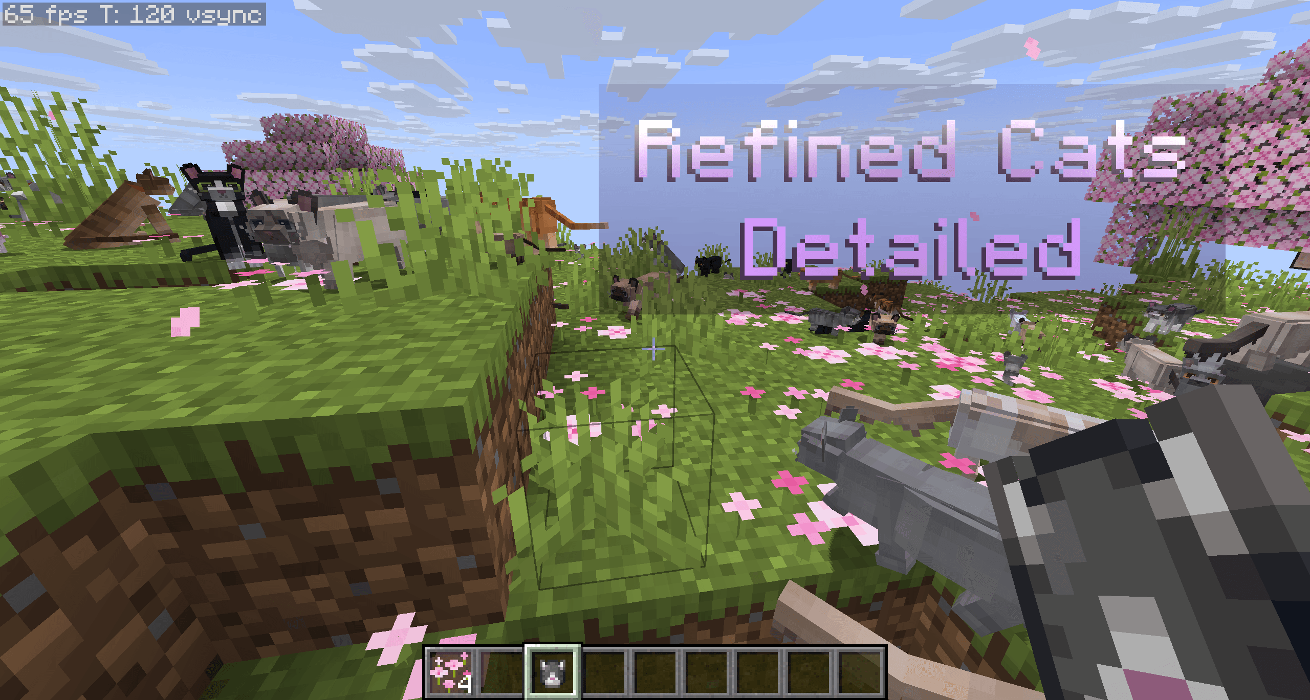 65 FPS with cat models spawned in