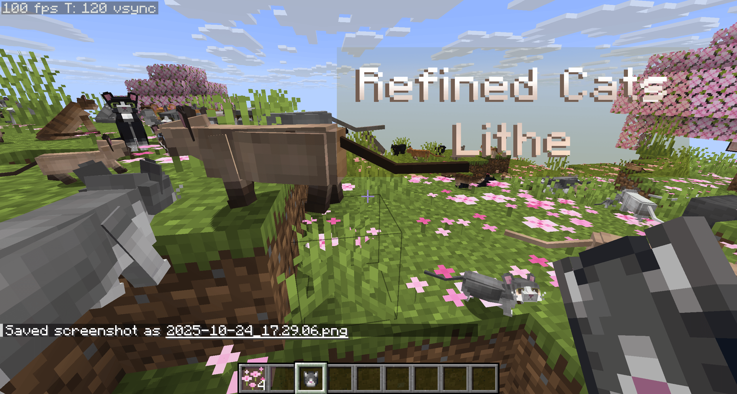 100 FPS with the cat models spawned in