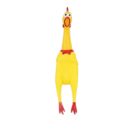 1000111871.png
