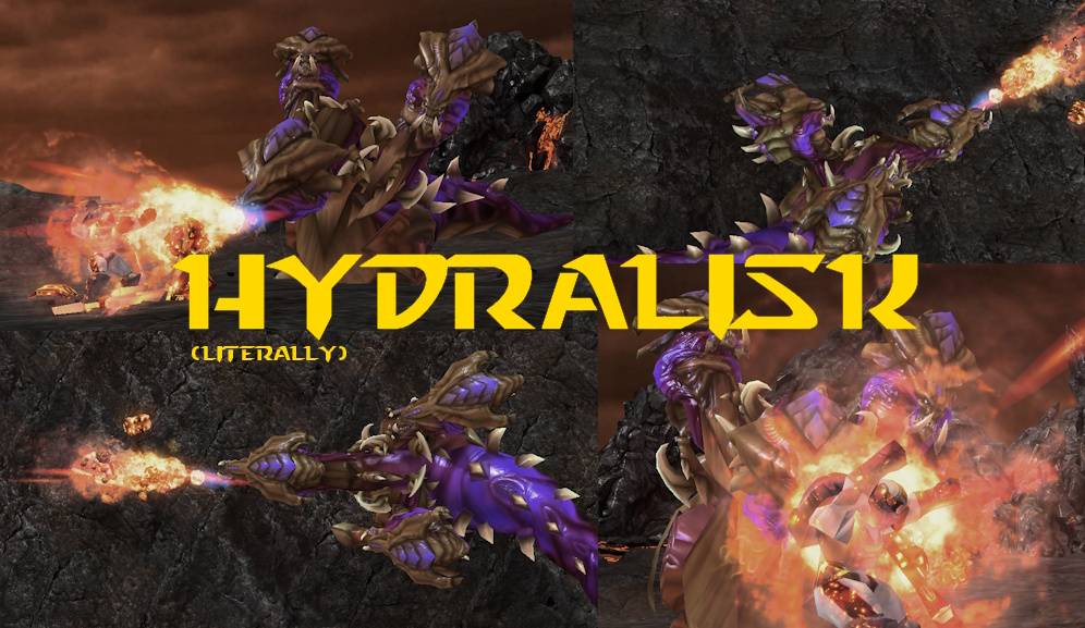 Hydra front.jpg