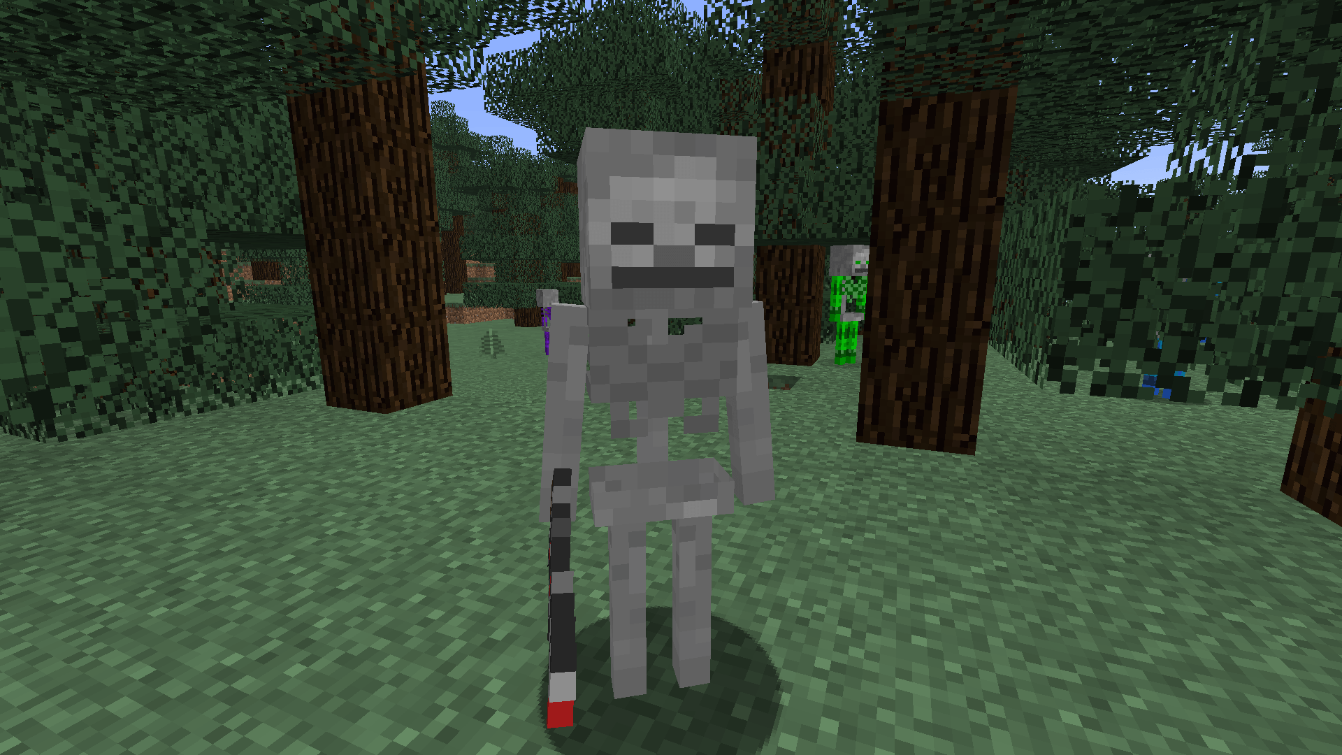 Vanilla skeletons will now spawn with a sword instead of a bow, and they will also drop other items.