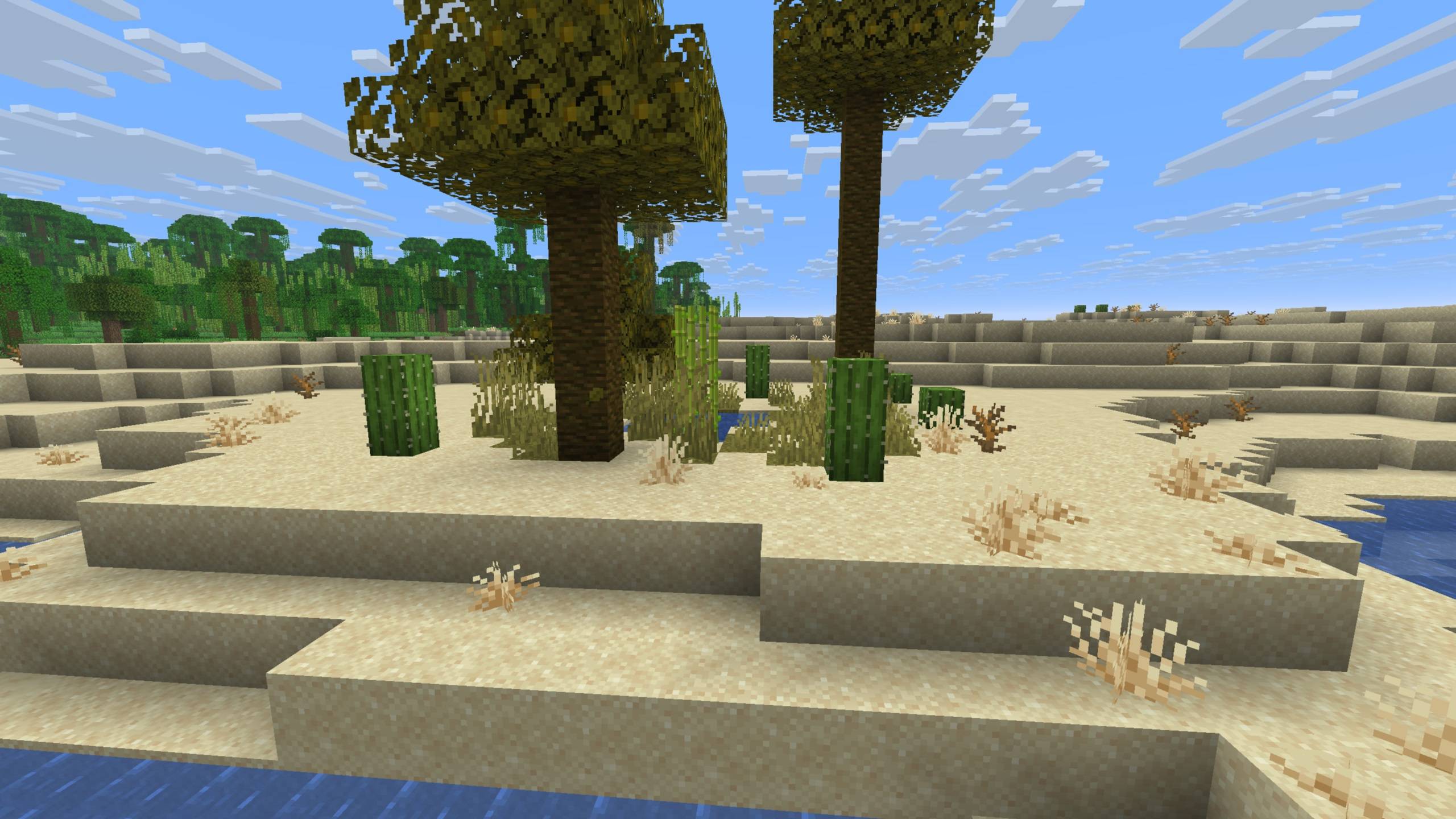 Small oasis