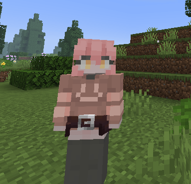 Toolbelt on player
