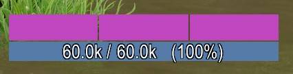 Paladin_Vergelter.jpg