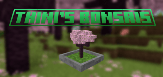 thinis_bonsais