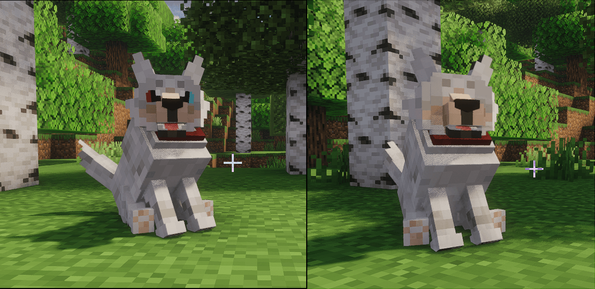 Holy_moly_a_dog_with_no_eyes.png