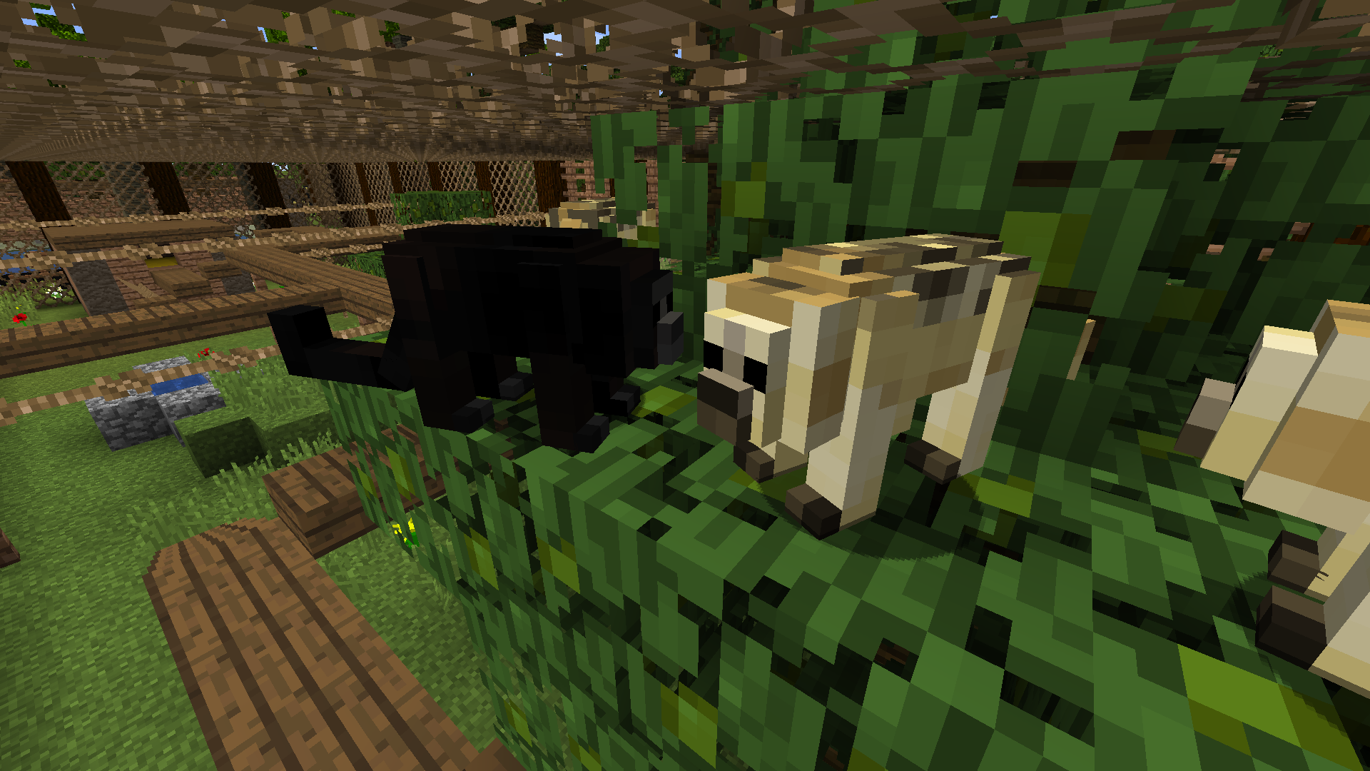 Thumbnail Black Howler
